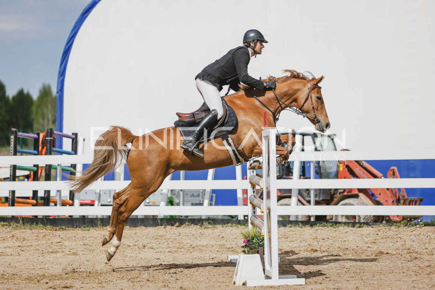 Gramina_Kevad_2026_110_430