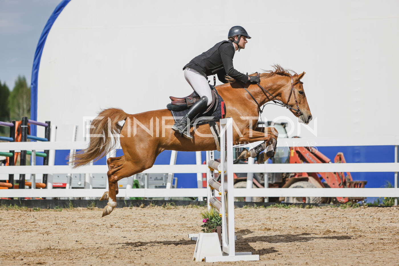 Gramina_Kevad_2026_110_431