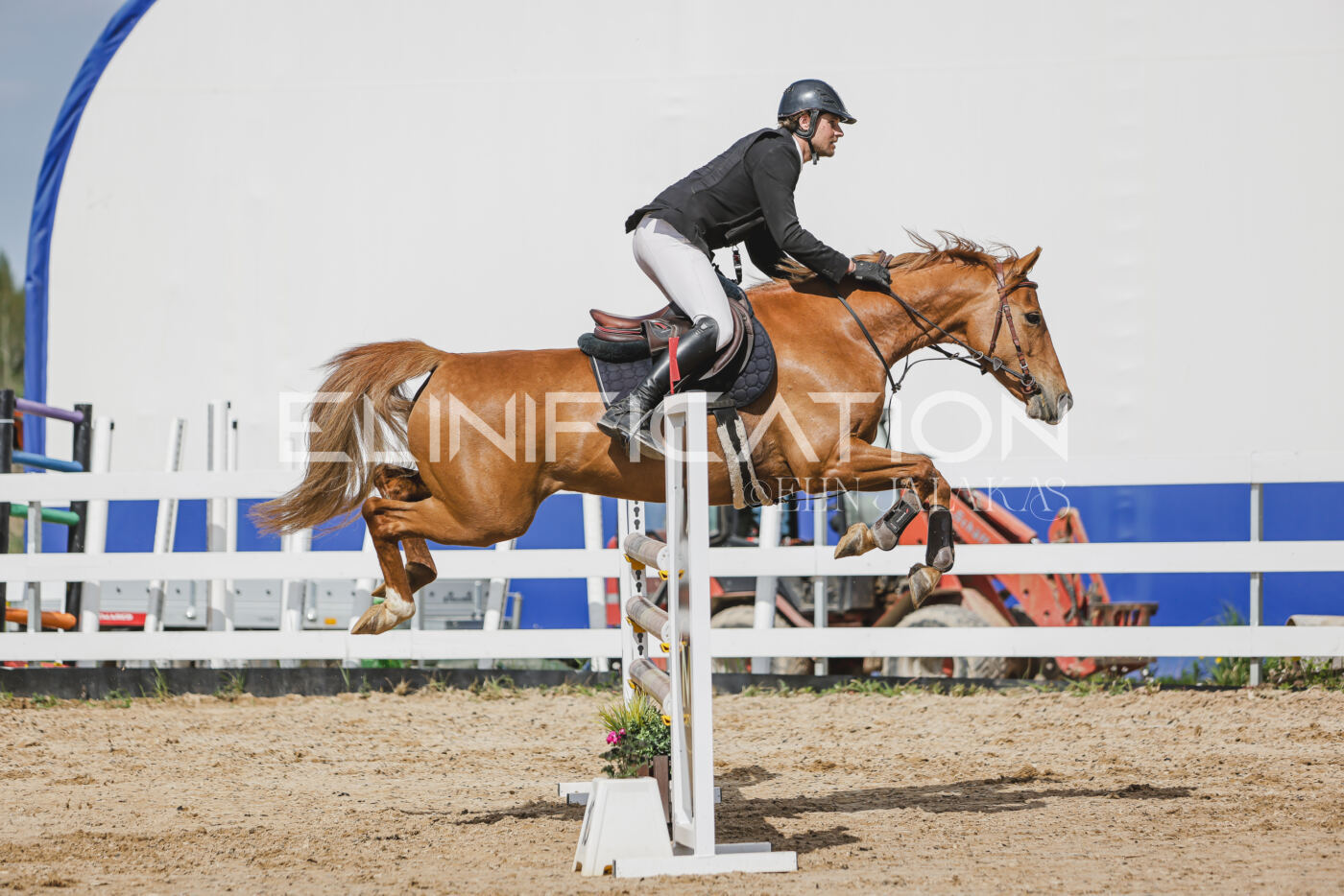 Gramina_Kevad_2026_110_432
