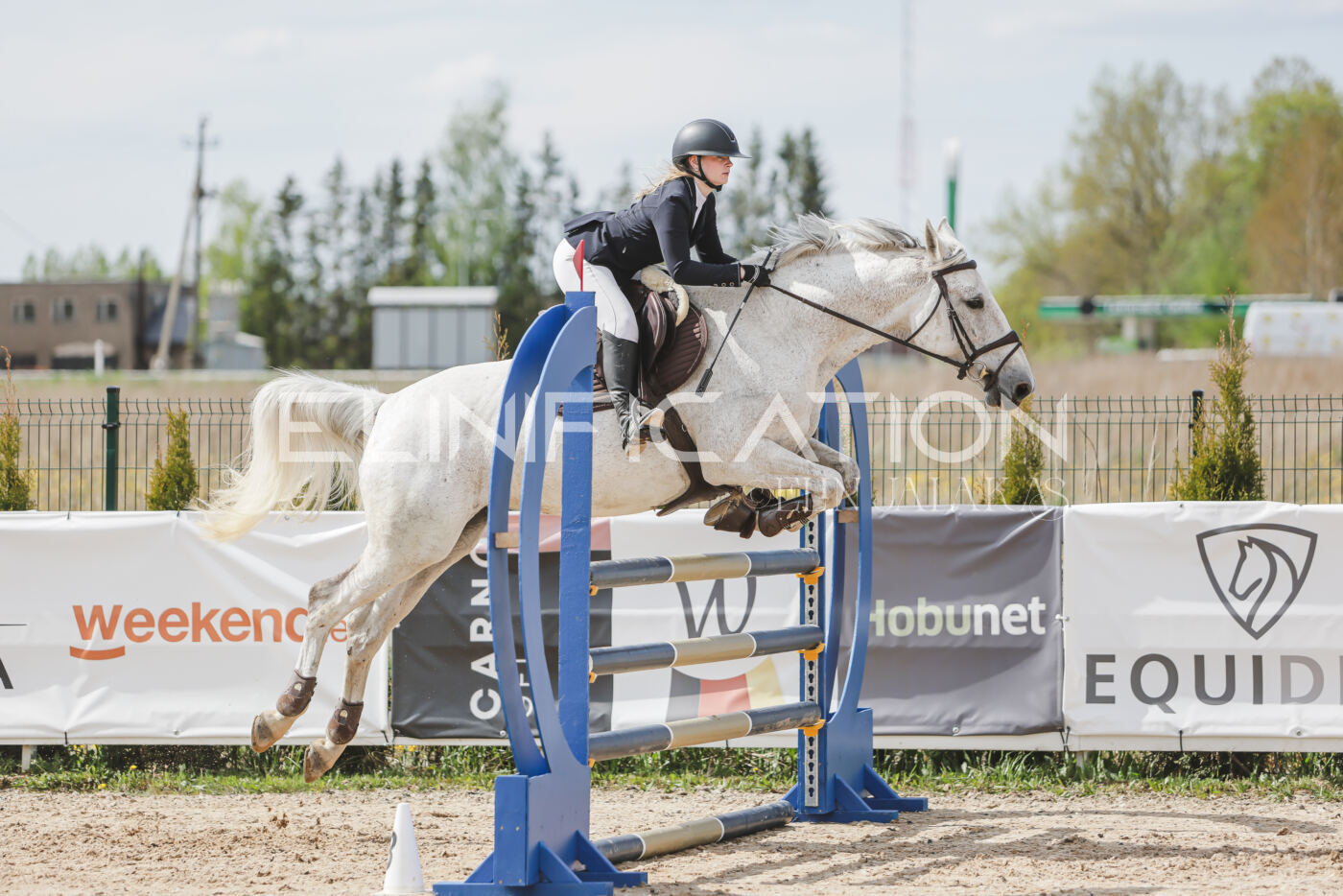 Gramina_Kevad_2026_110_458