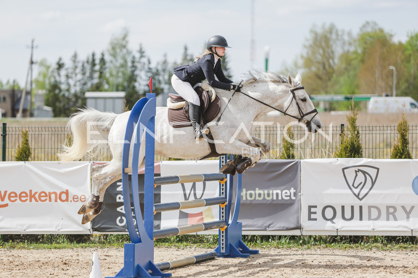 Gramina_Kevad_2026_110_459