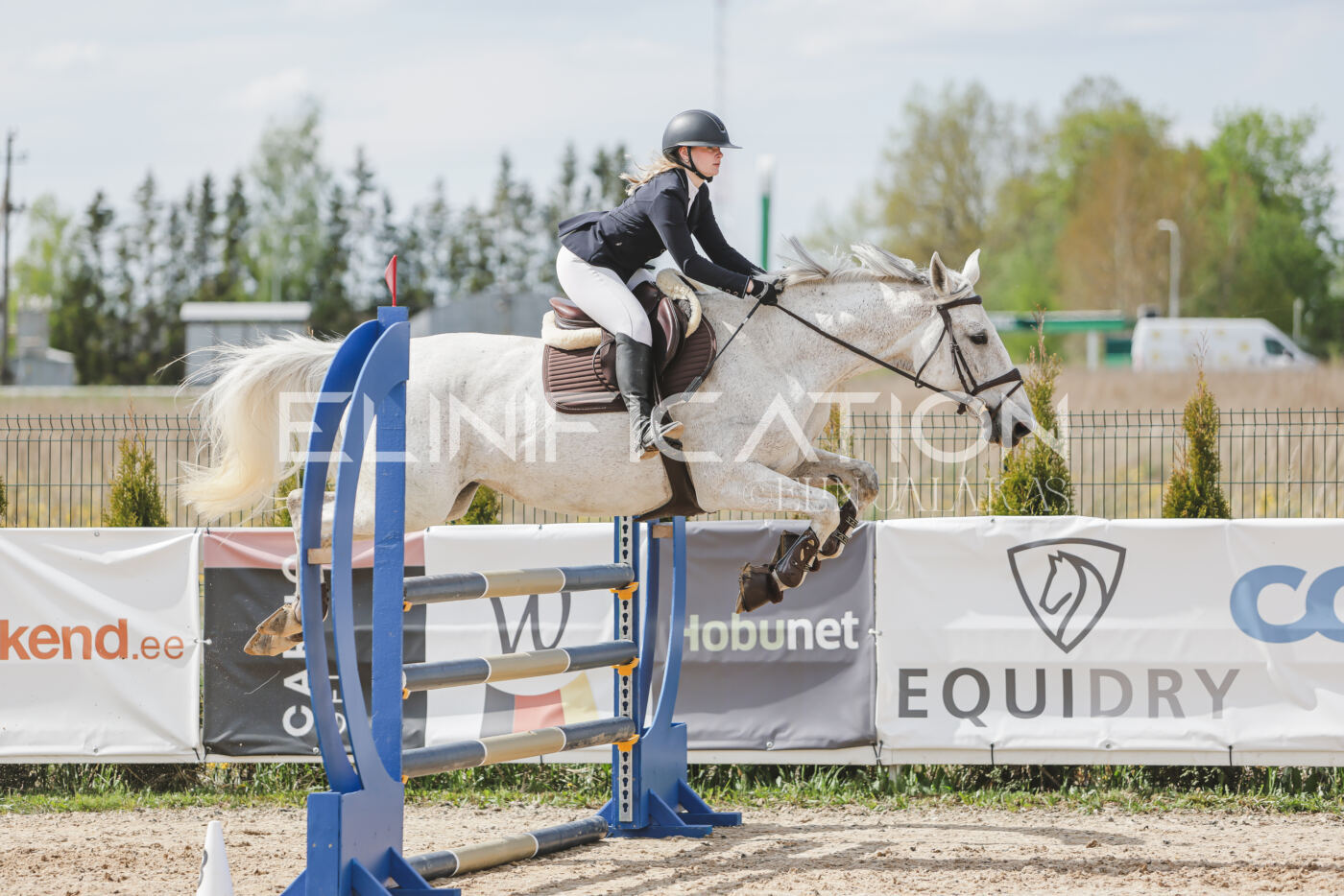 Gramina_Kevad_2026_110_460