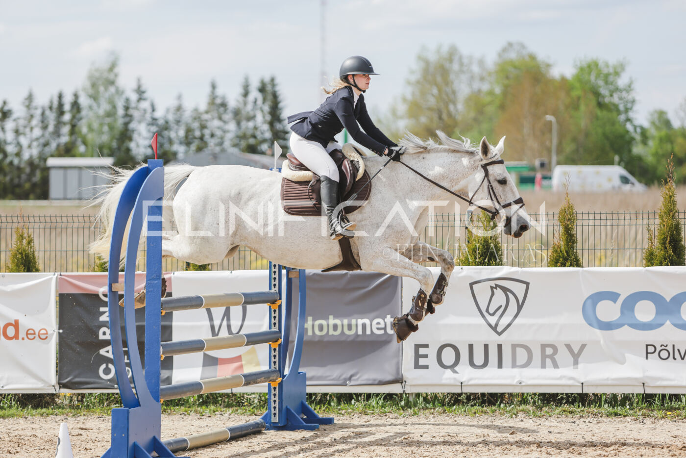 Gramina_Kevad_2026_110_461