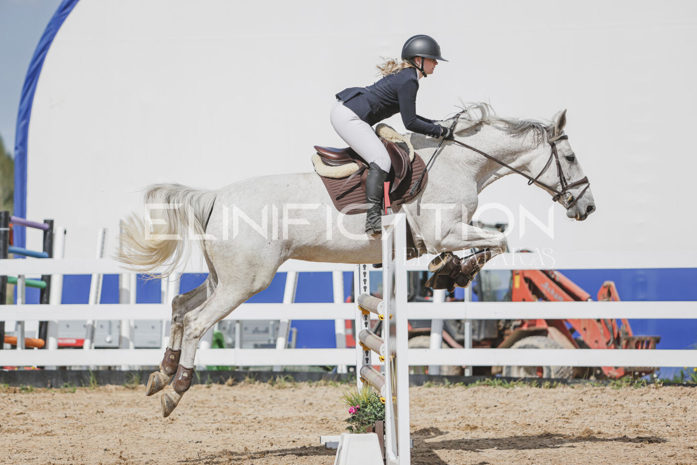 Gramina_Kevad_2026_110_462