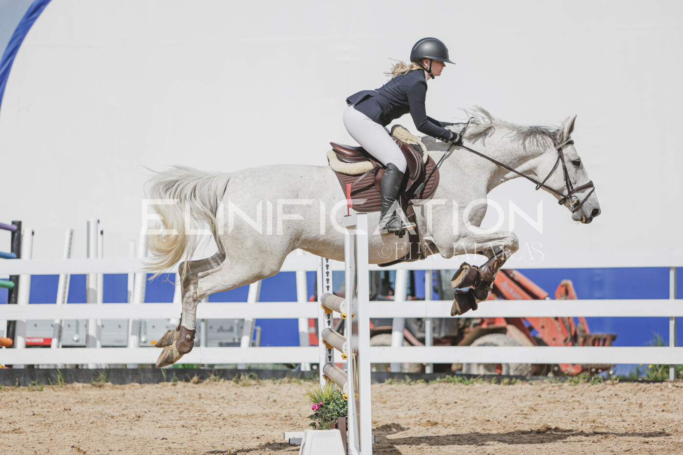 Gramina_Kevad_2026_110_463