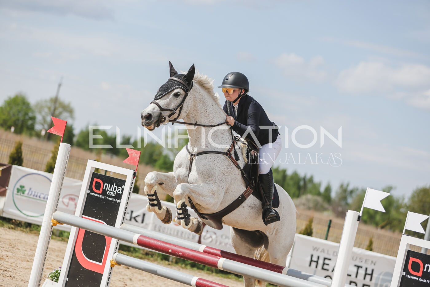 Gramina_Kevad_2026_110_473