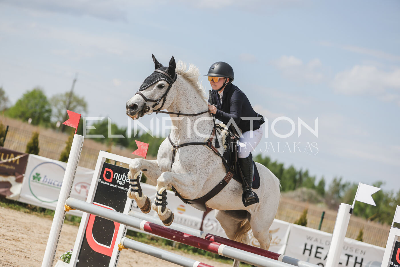 Gramina_Kevad_2026_110_474