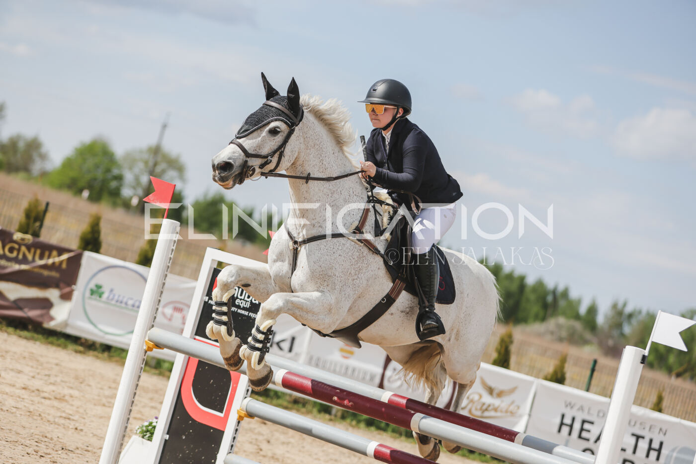 Gramina_Kevad_2026_110_475