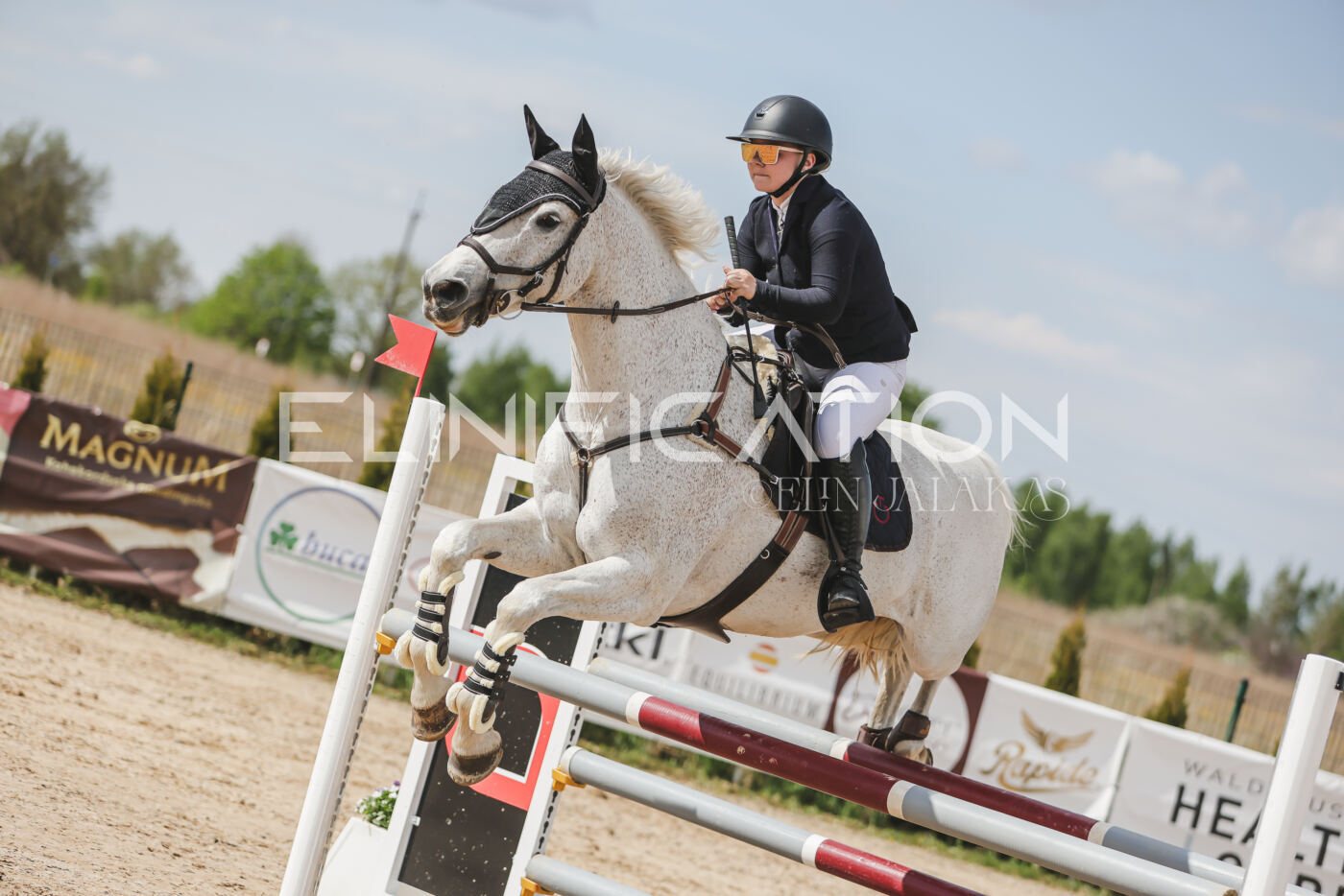 Gramina_Kevad_2026_110_476