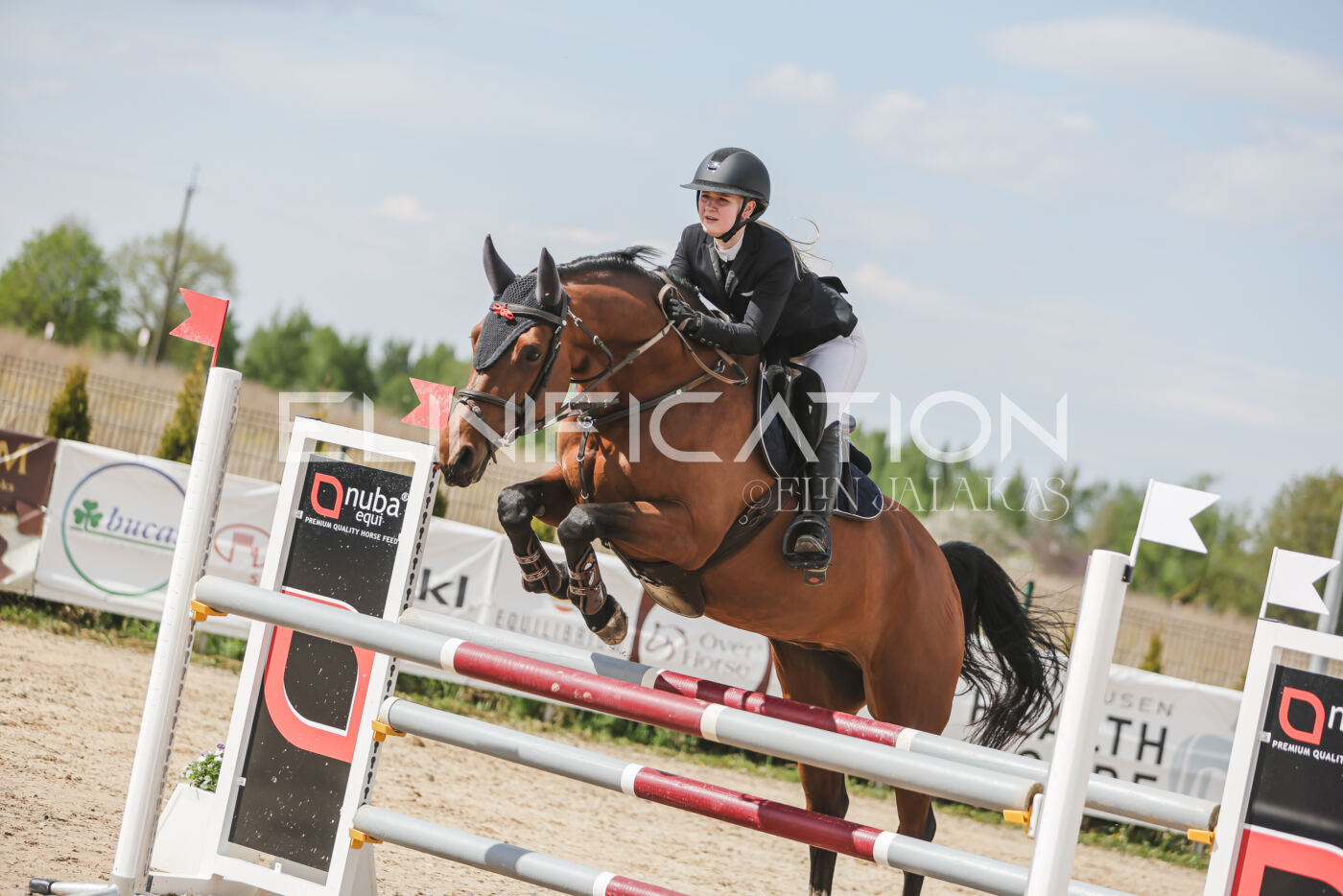Gramina_Kevad_2026_110_484