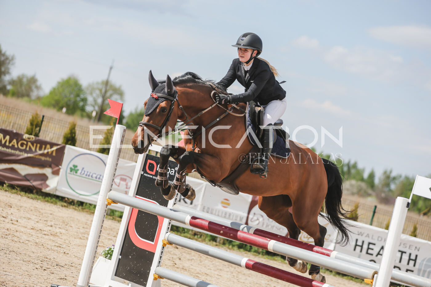 Gramina_Kevad_2026_110_486