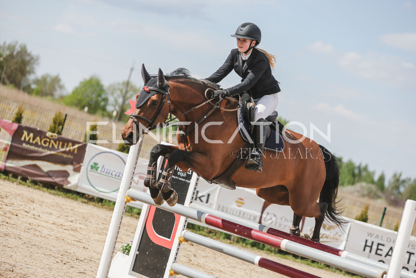 Gramina_Kevad_2026_110_487