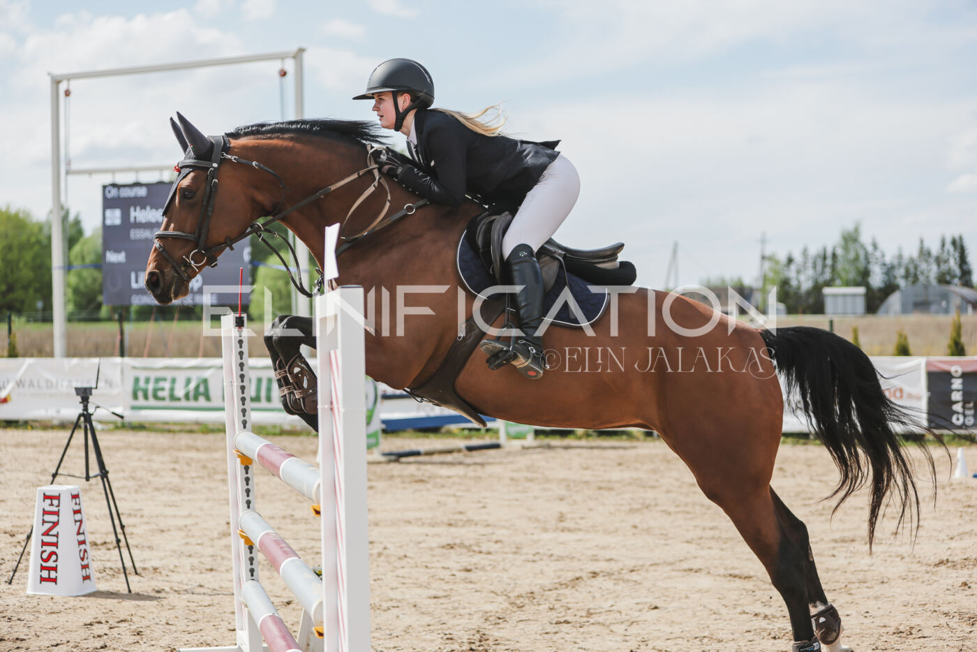 Gramina_Kevad_2026_110_489