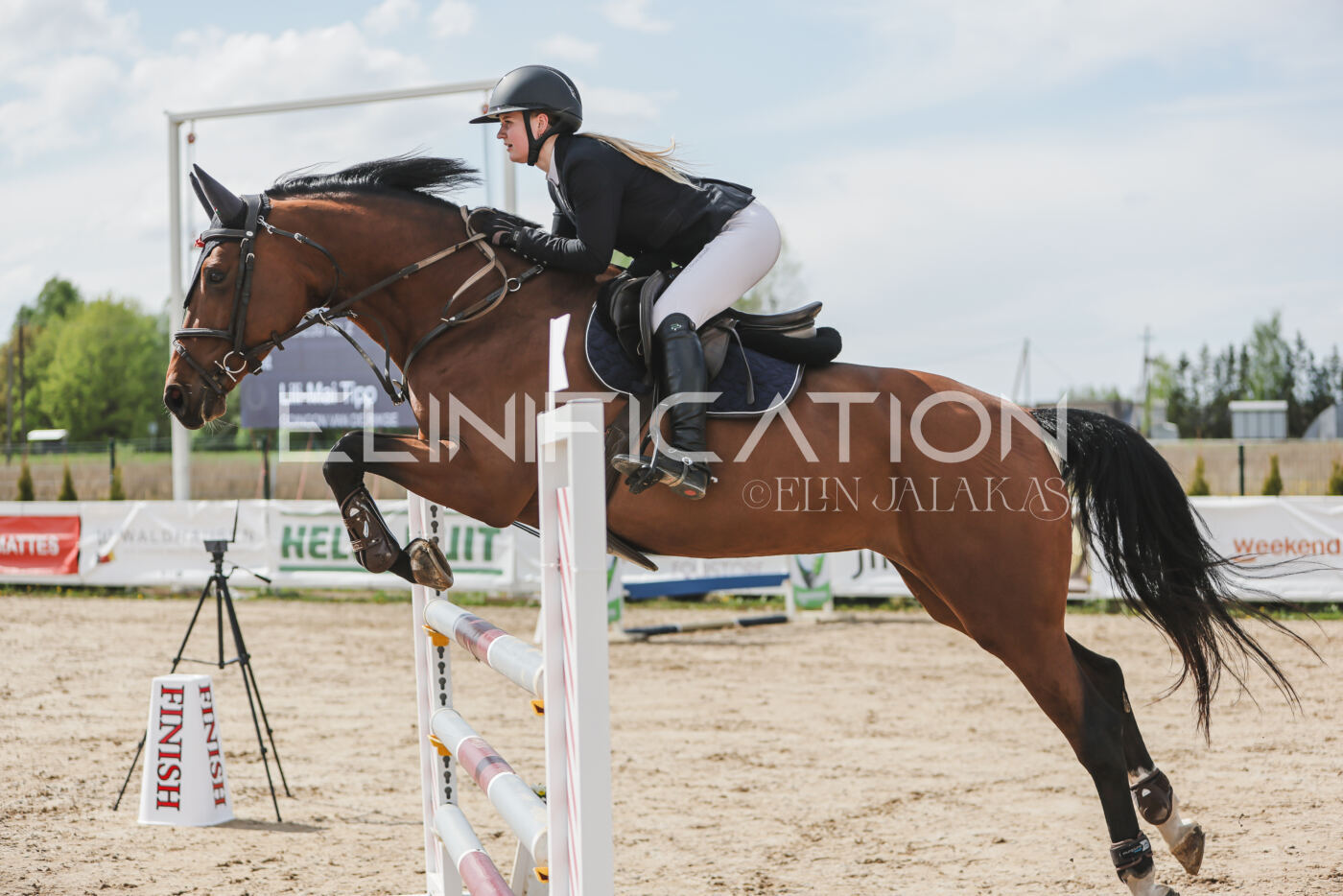 Gramina_Kevad_2026_110_490