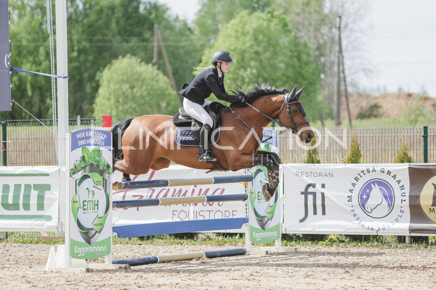Gramina_Kevad_2026_110_493