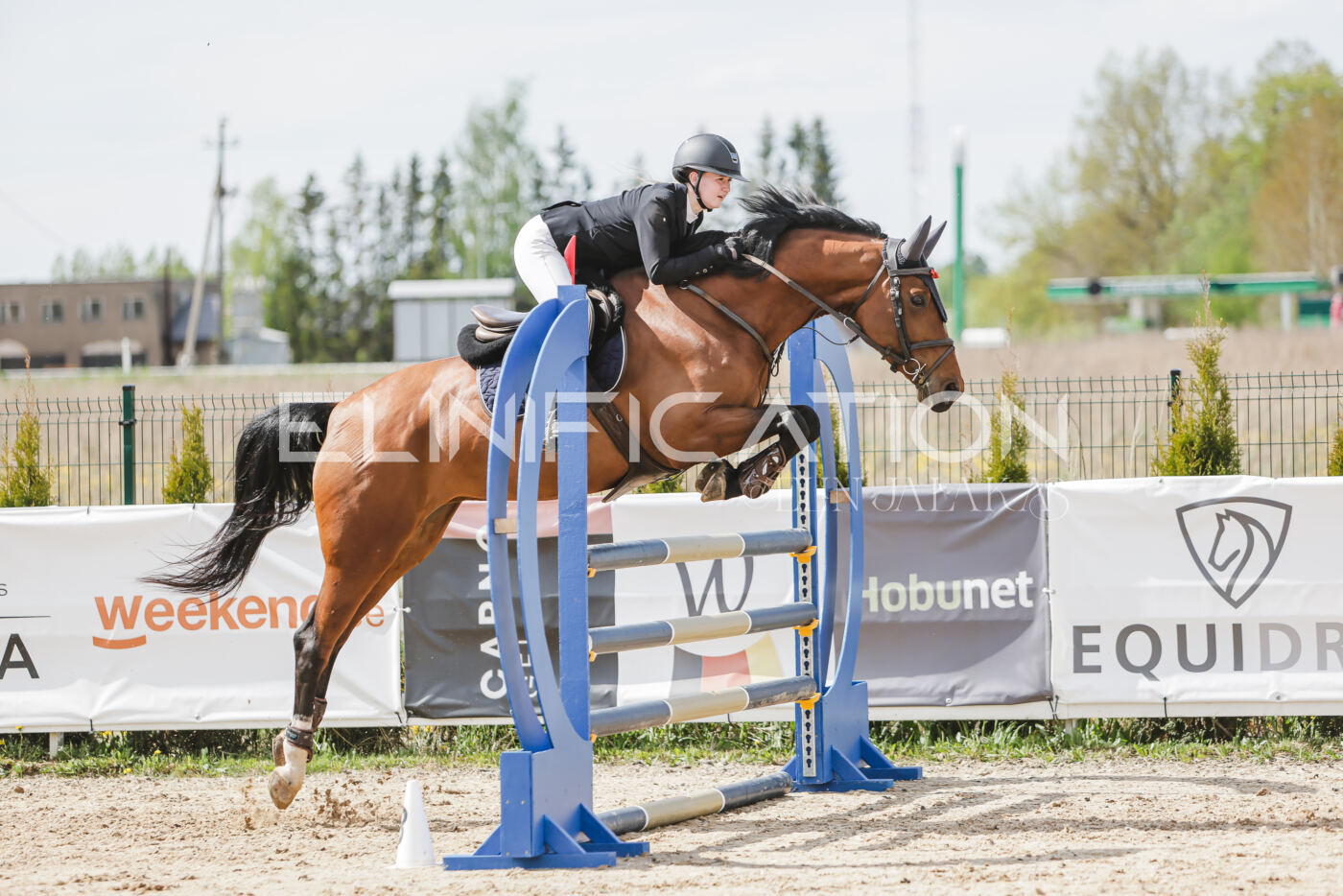 Gramina_Kevad_2026_110_494