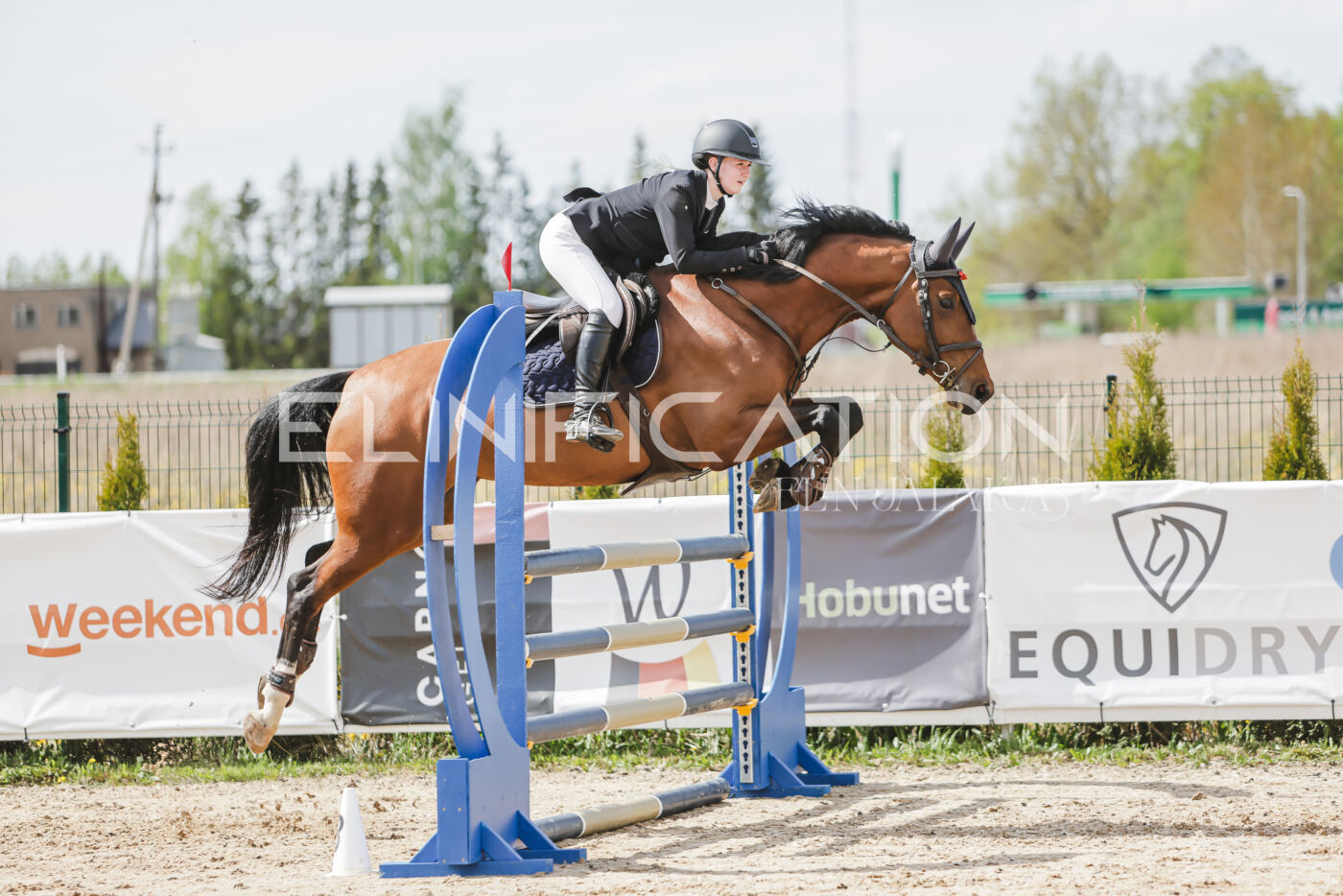 Gramina_Kevad_2026_110_495