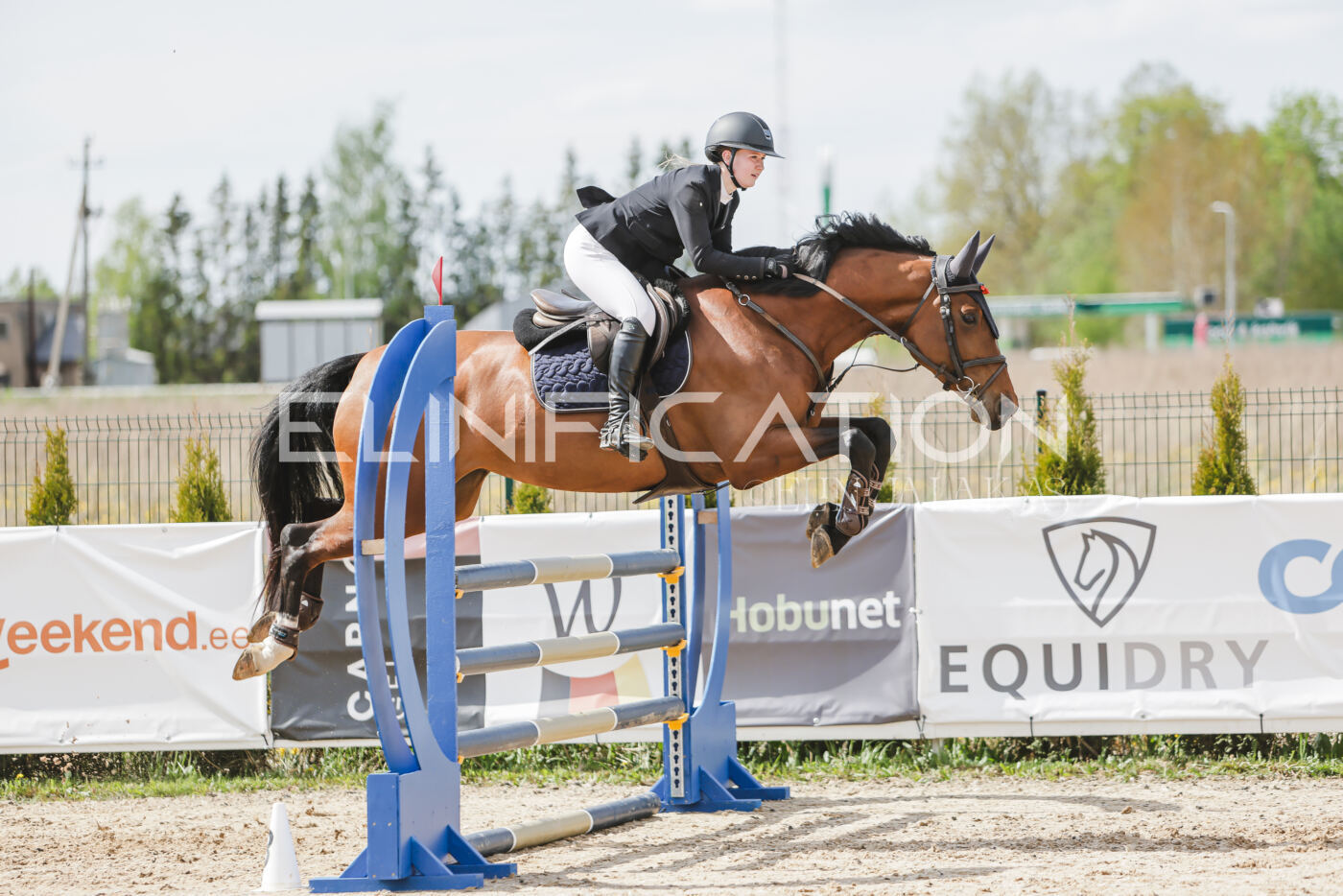 Gramina_Kevad_2026_110_496