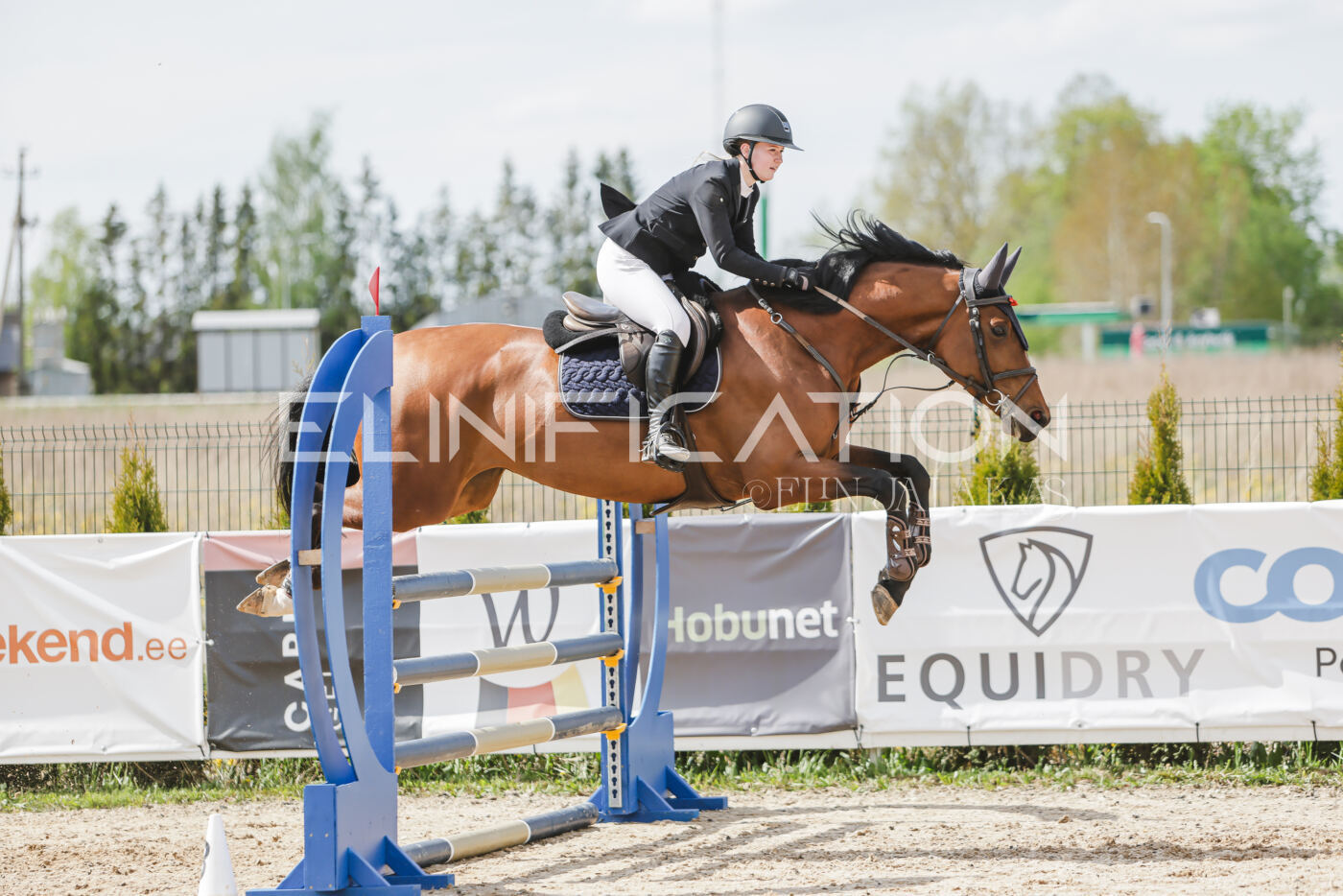 Gramina_Kevad_2026_110_497