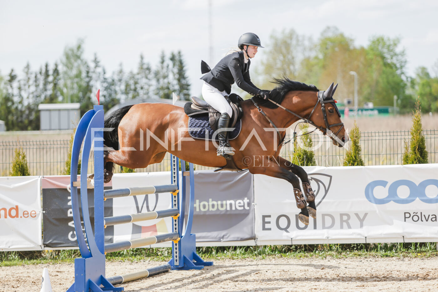 Gramina_Kevad_2026_110_498