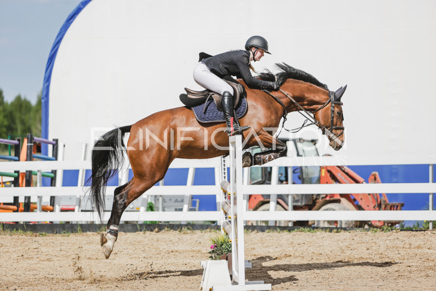 Gramina_Kevad_2026_110_499