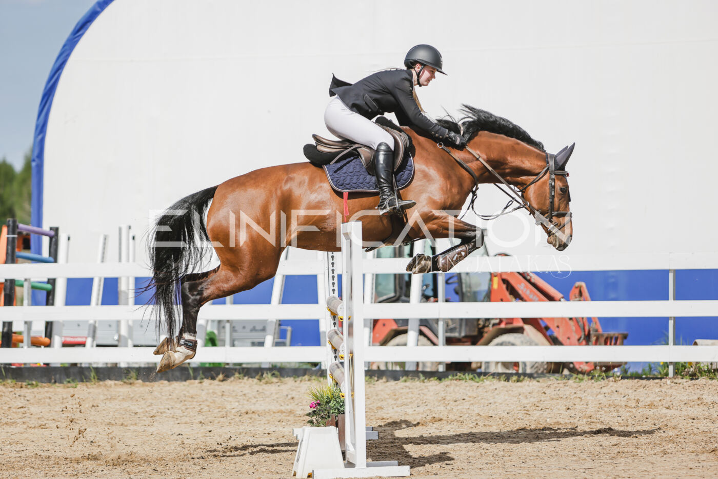 Gramina_Kevad_2026_110_500