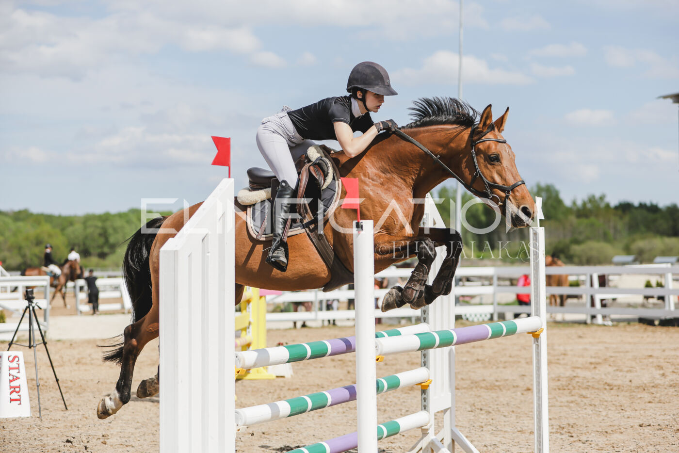 Gramina_Kevad_2026_110_503