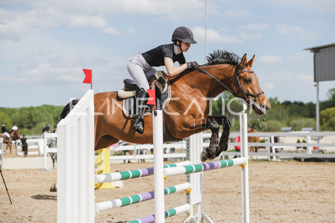 Gramina_Kevad_2026_110_504