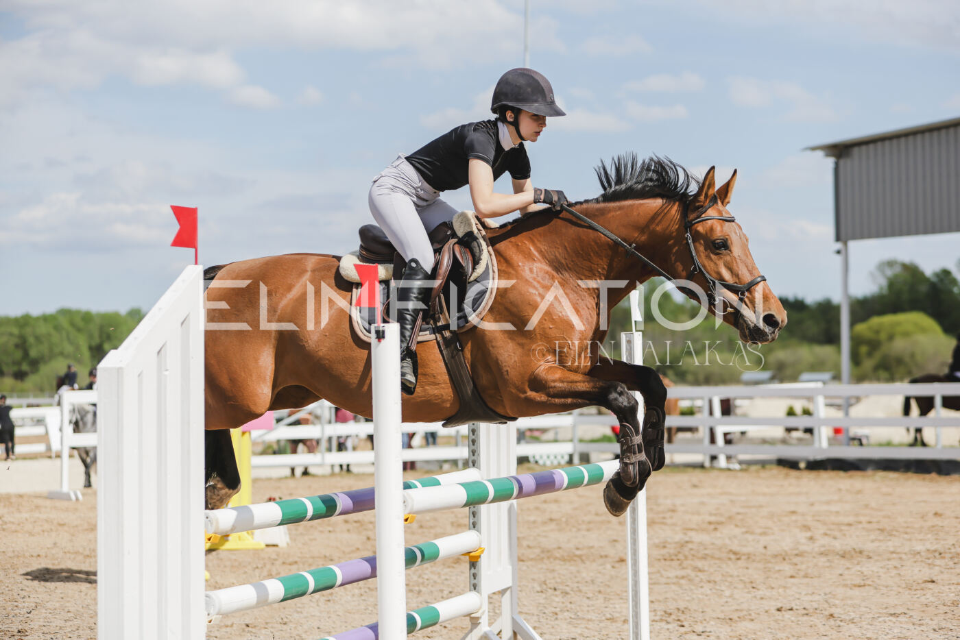 Gramina_Kevad_2026_110_505