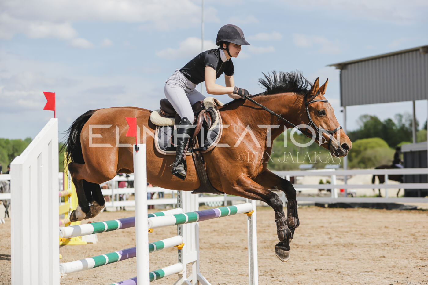 Gramina_Kevad_2026_110_506