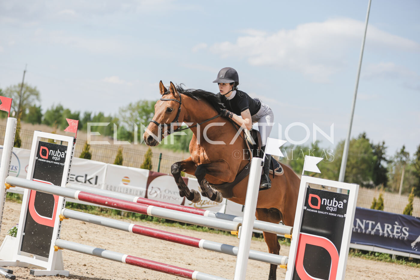 Gramina_Kevad_2026_110_513