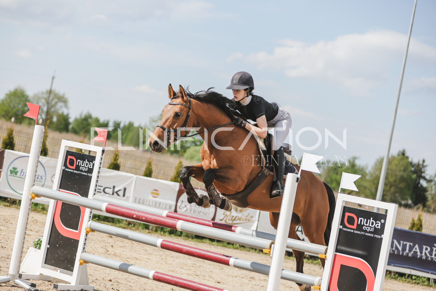 Gramina_Kevad_2026_110_514