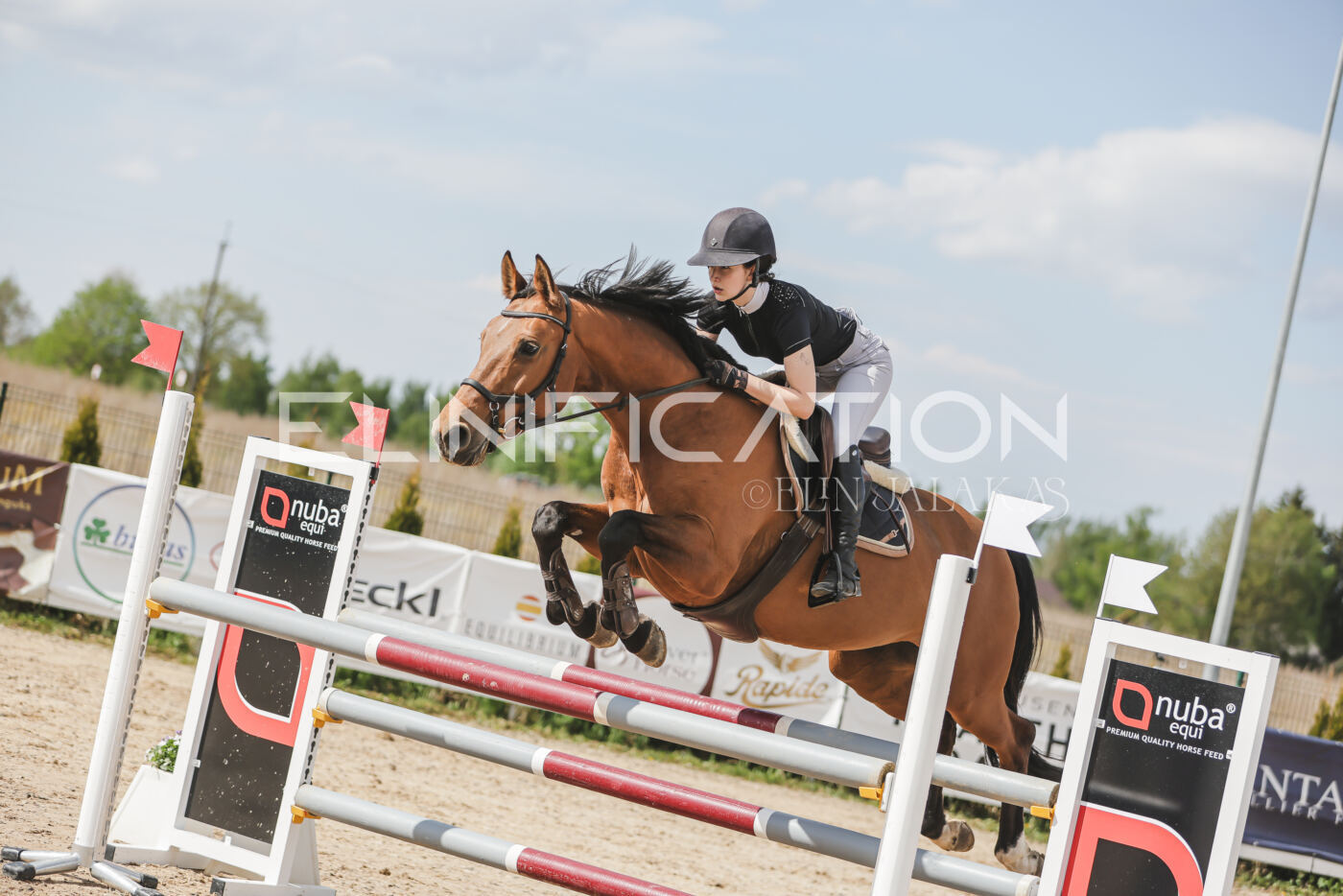 Gramina_Kevad_2026_110_515