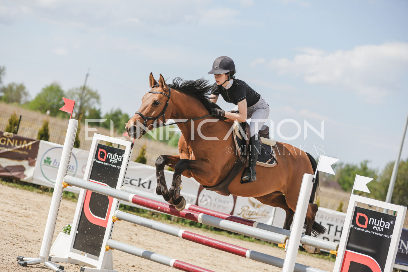 Gramina_Kevad_2026_110_516