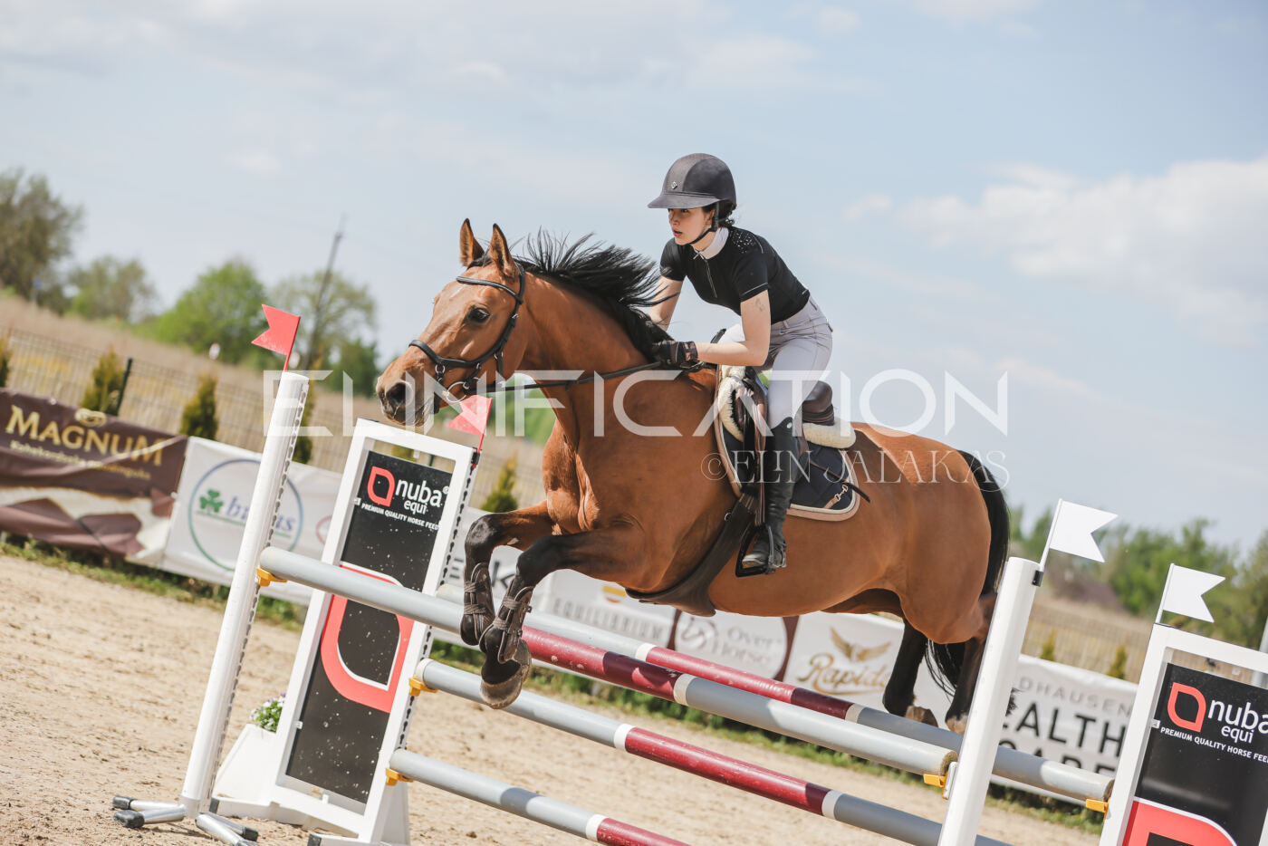 Gramina_Kevad_2026_110_517