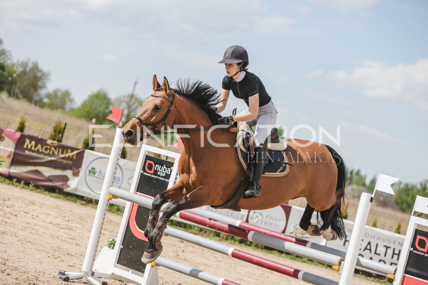 Gramina_Kevad_2026_110_518