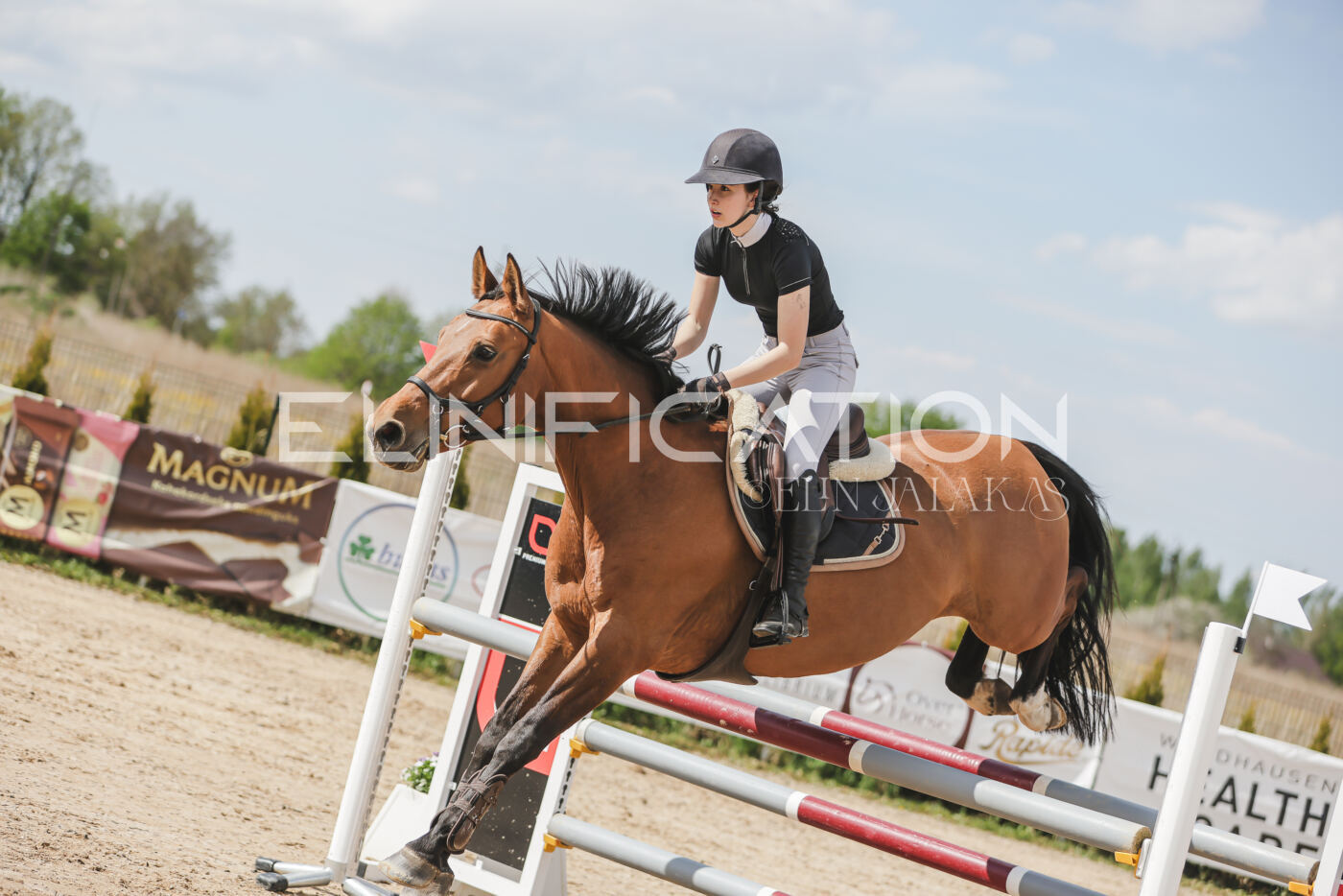 Gramina_Kevad_2026_110_519