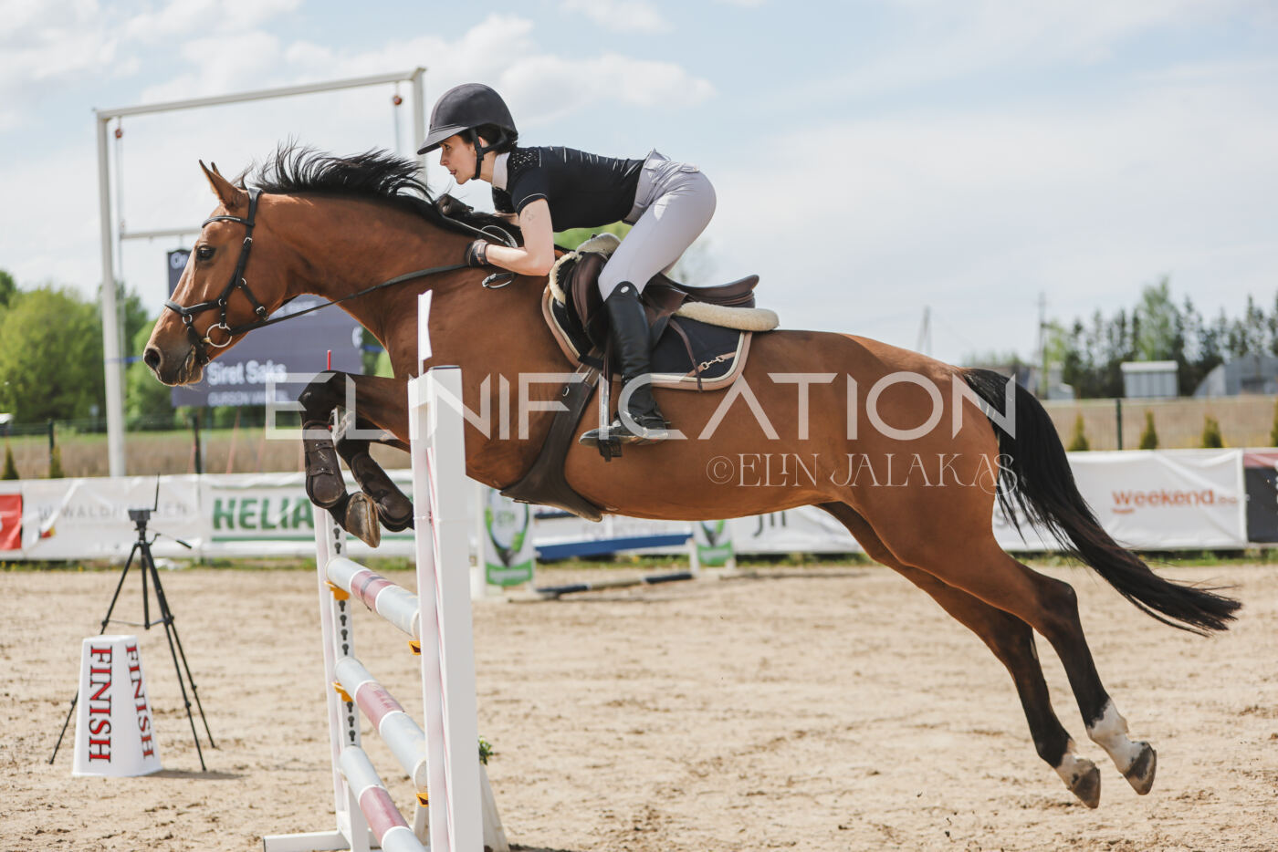 Gramina_Kevad_2026_110_520