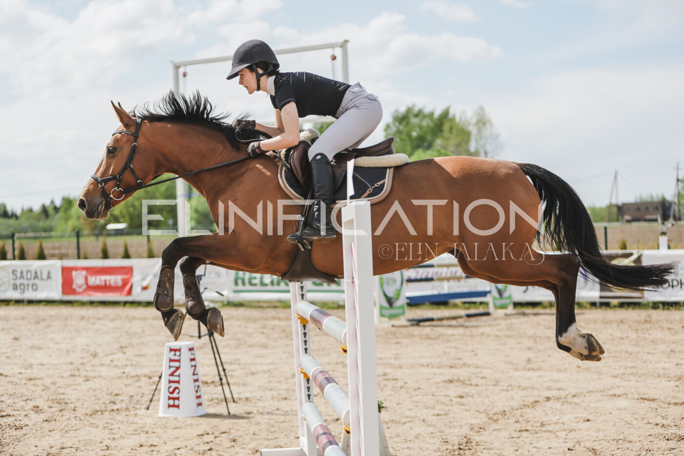 Gramina_Kevad_2026_110_522