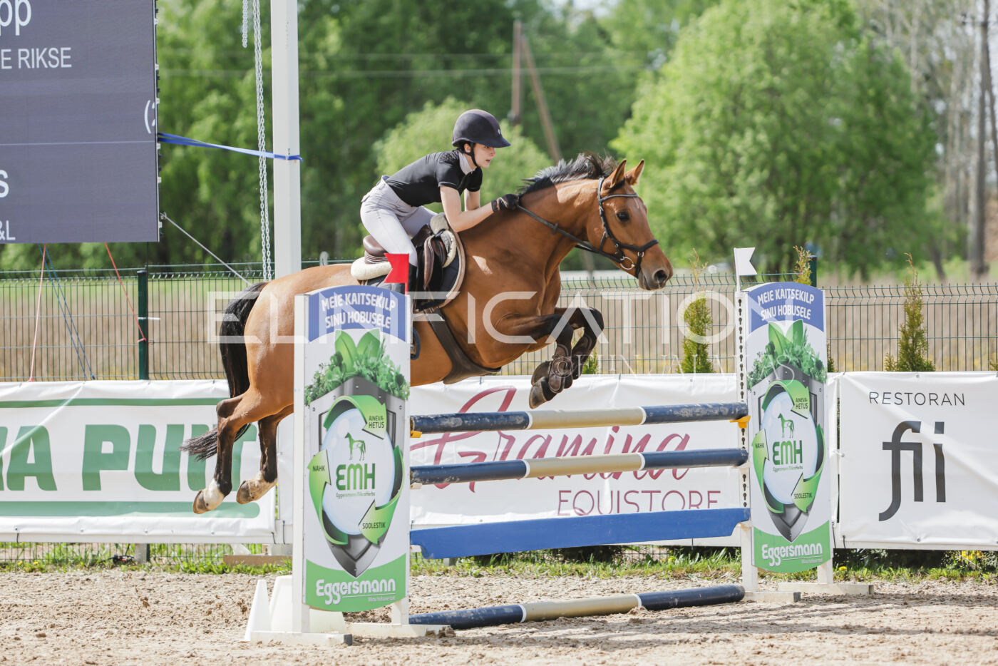 Gramina_Kevad_2026_110_524