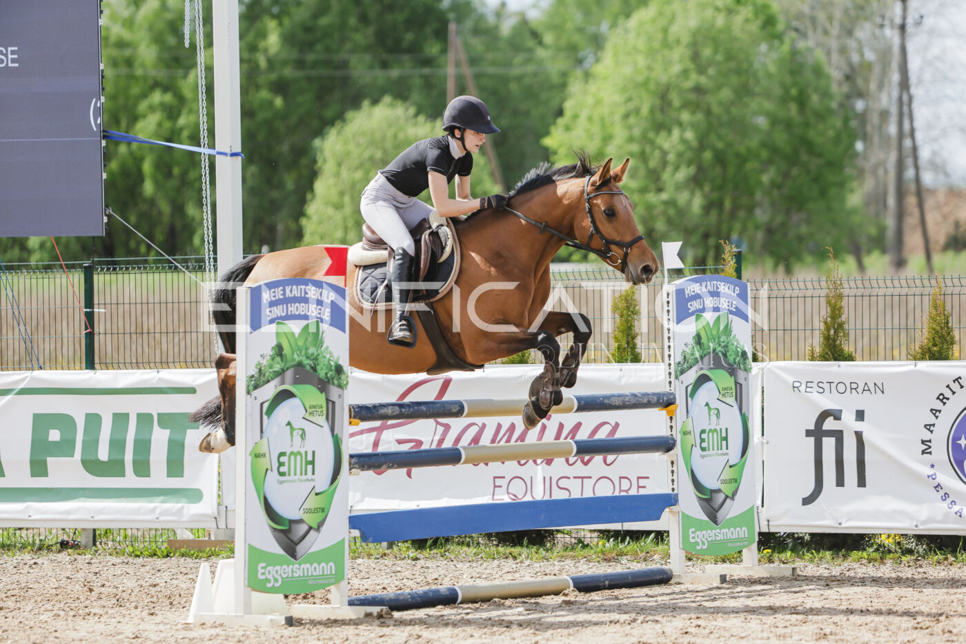 Gramina_Kevad_2026_110_525