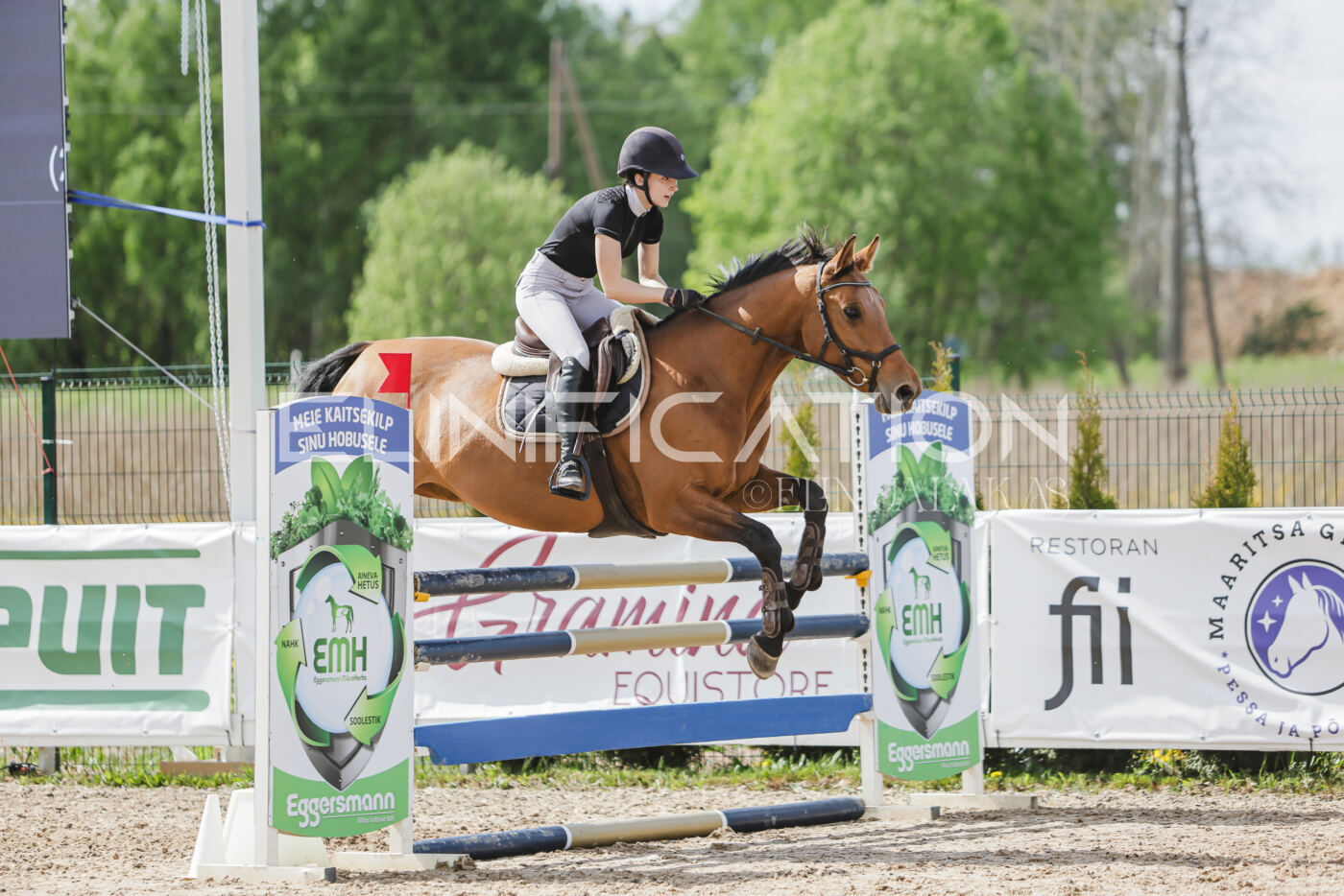 Gramina_Kevad_2026_110_526