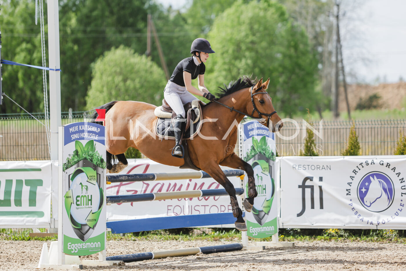 Gramina_Kevad_2026_110_527