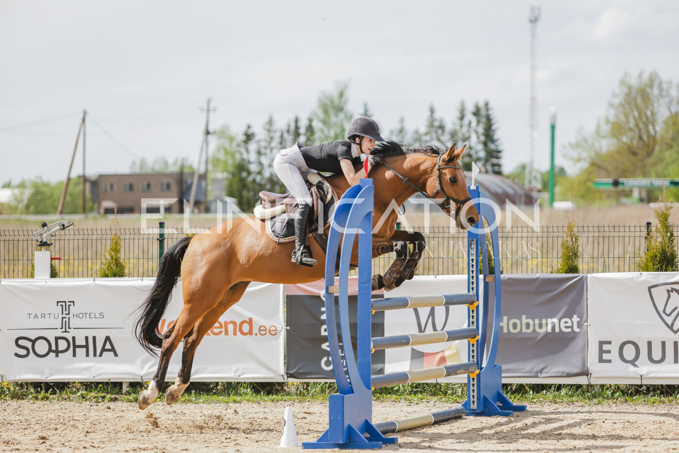 Gramina_Kevad_2026_110_528