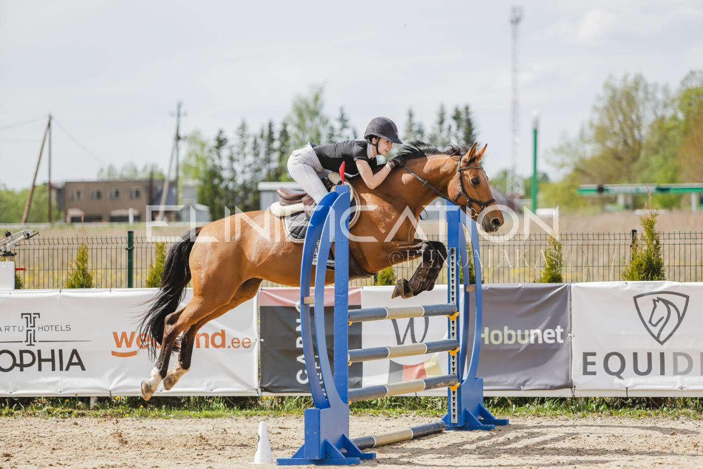 Gramina_Kevad_2026_110_529