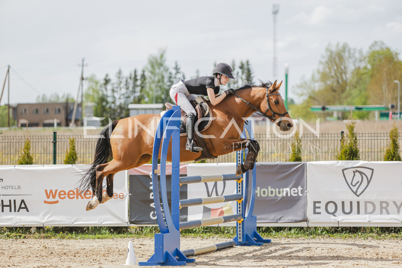 Gramina_Kevad_2026_110_530