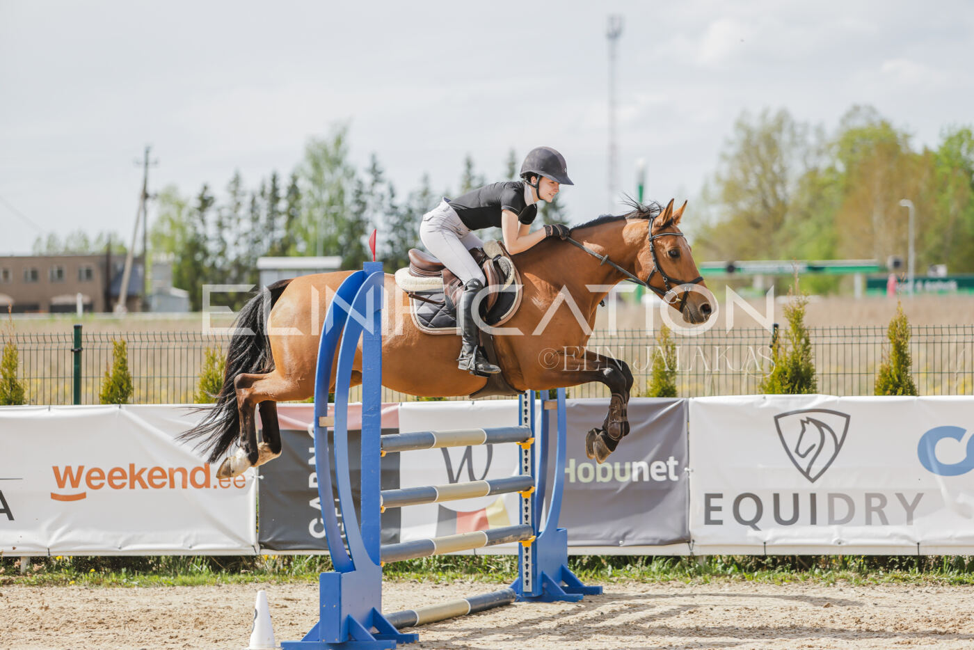Gramina_Kevad_2026_110_531