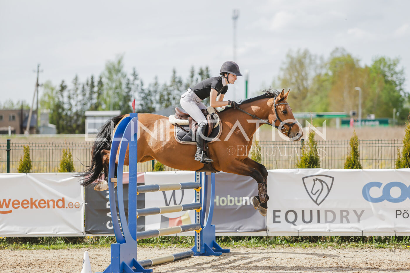 Gramina_Kevad_2026_110_532