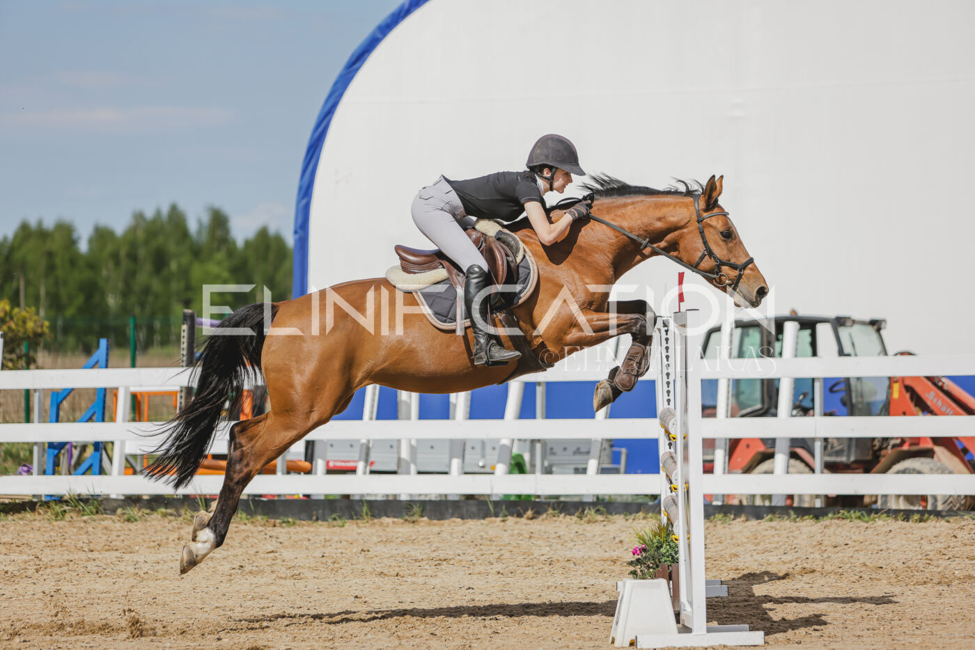 Gramina_Kevad_2026_110_533