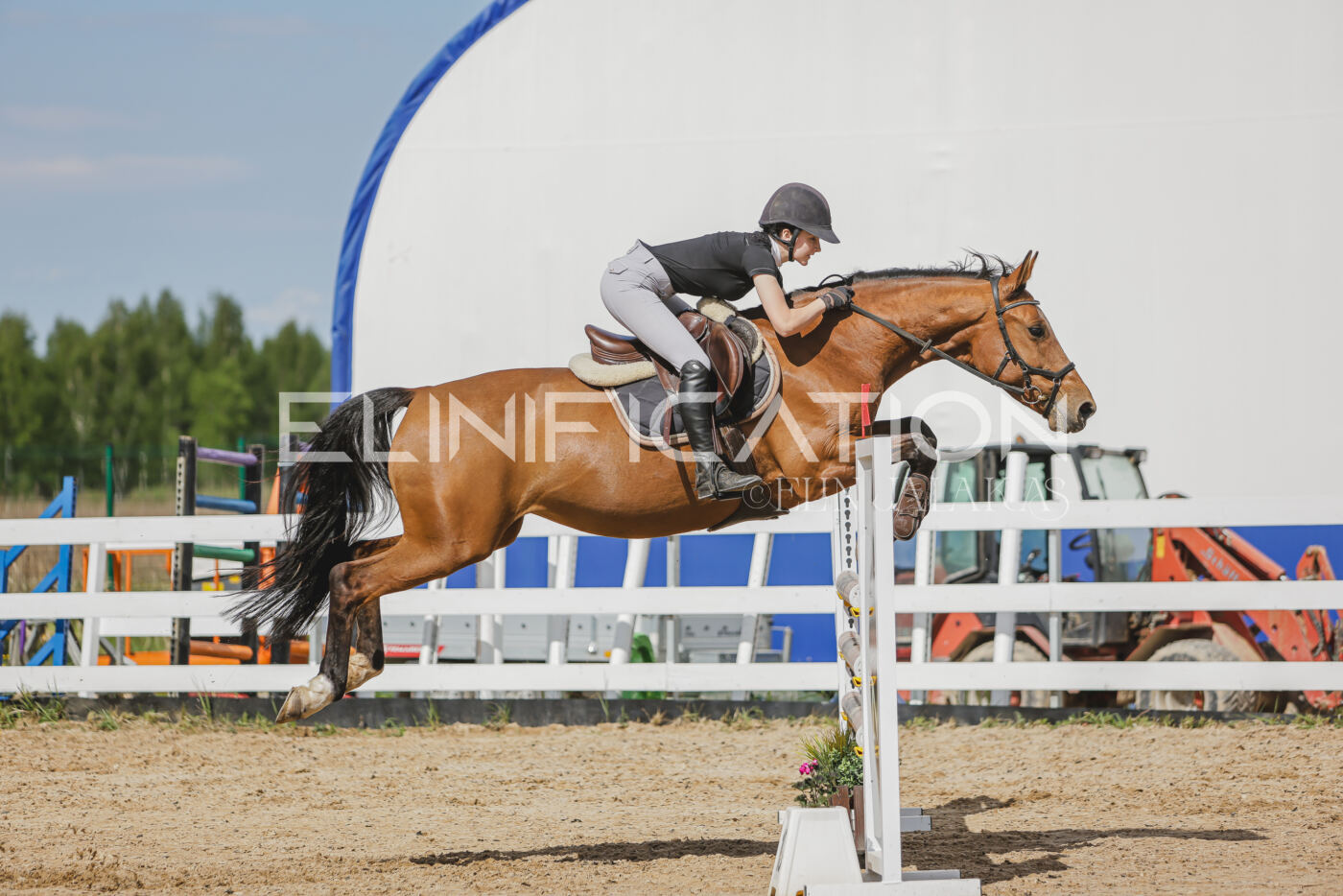 Gramina_Kevad_2026_110_534